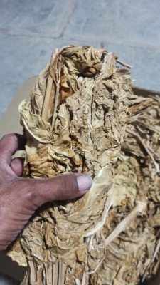 تخصص و تجربه